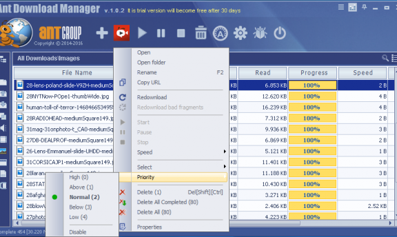 Ant Download Manager – 蚂蚁下载工具[Windows][$22.5→0]