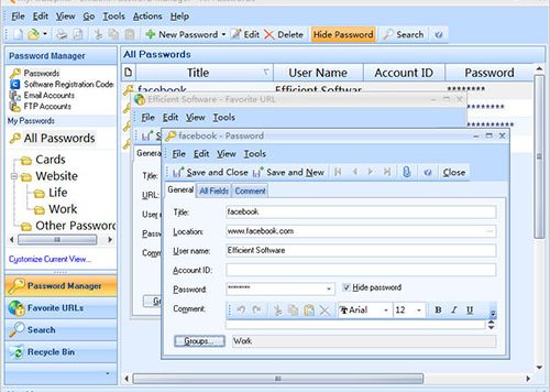 Efficient Password Manager Pro — 效能密码管理器[PC & Android][$39.95→0]