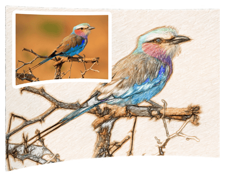 Sketch Drawer Pro — 把照片转换成素描[PC][$24→0]